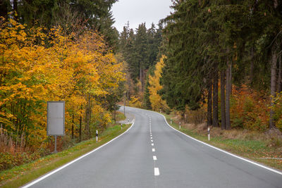 Empty road along trees