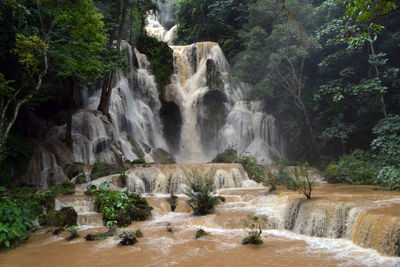 View of waterfall in forest