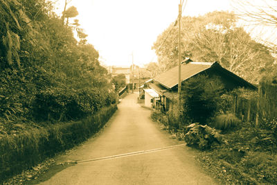 Narrow walkway along trees