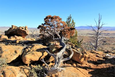 Rock formations on landscape against clear sky