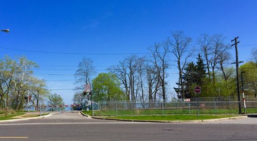 Empty road along trees