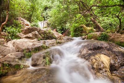 Stream flowing through rocks in forest