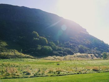 Scenic view of field and mountains against clear sky