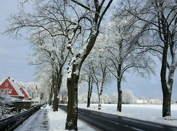 Snow covered road passing through trees