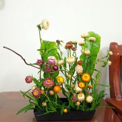 Close-up of flowering plant in vase against wall