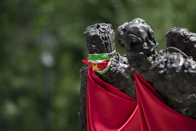 Close-up of statue against blurred background