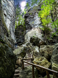 Low angle view of footbridge amidst rocks in forest