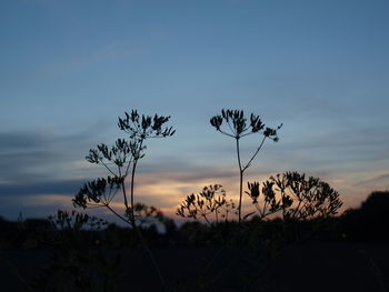 Scenic view of field against sky at sunset