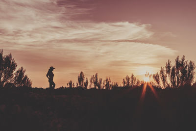 Scenic view of sunset over landscape