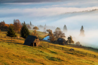 Scenic view of field against sky