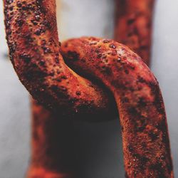 Close-up of bread