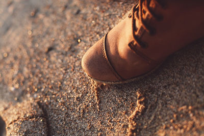 Low section of person wearing brown shoe on sand at beach
