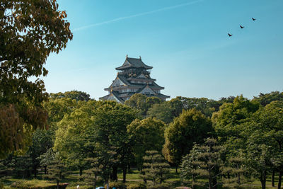 Low angle view of trees and building against sky