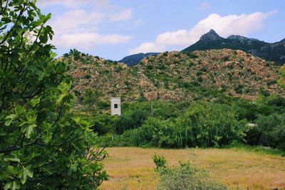 Scenic view of trees and mountains against sky