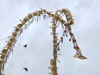 Low angle view of penjor in bali at galungan