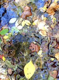 Woman standing in water