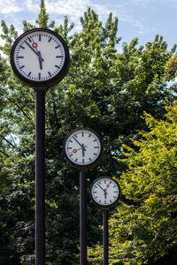 Low angle view of clock on tree against plants