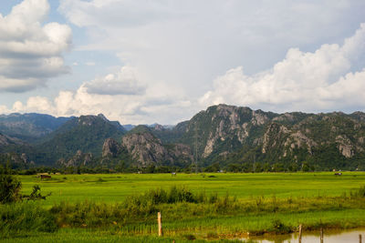 Scenic view of field against sky