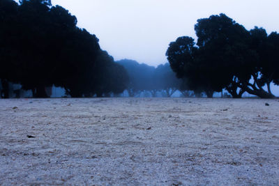Scenic view of landscape against clear sky