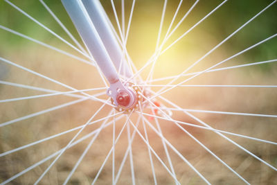 Full frame shot of umbrella
