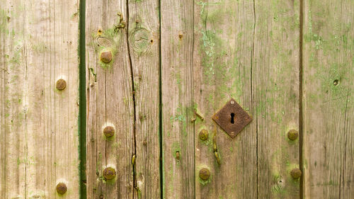 Full frame shot of wooden door