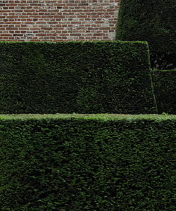 Full frame shot of stone wall