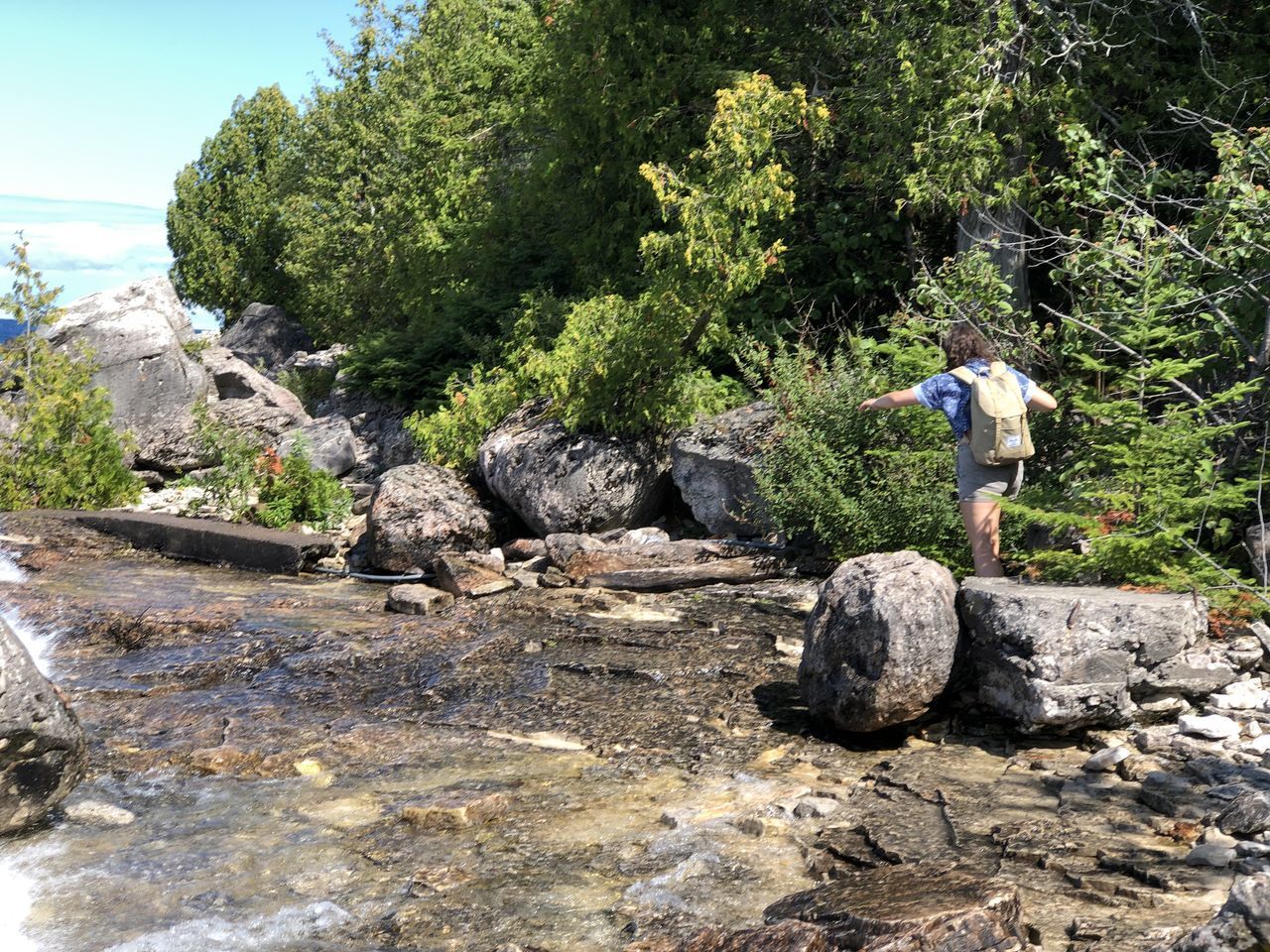 REAR VIEW OF MAN STANDING ON ROCK BY TREES