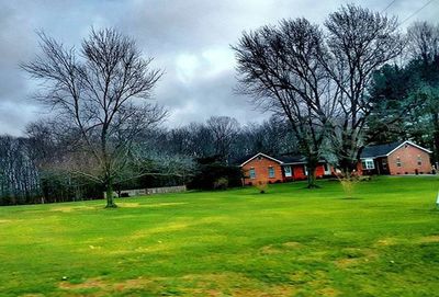 Bare trees on grassy field against cloudy sky