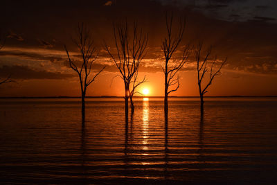 Silhouette tree by sea against romantic sky at sunset