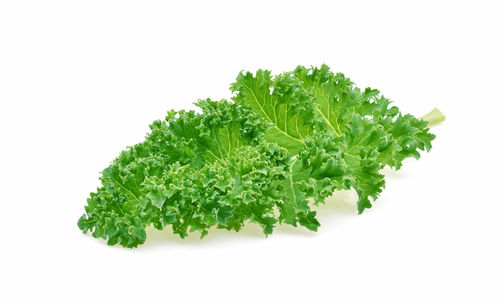 Close-up of green leaf against white background