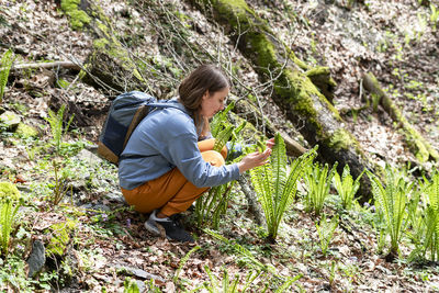 Young woman touching first spring fern sprouts leaves in forest , enjoying nature , hiking bracken