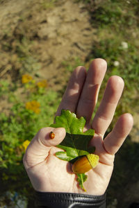 Midsection of person holding plant