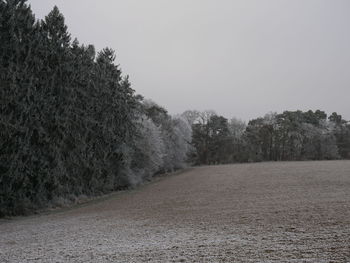Scenic view of trees against sky