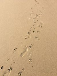 High angle view of footprints on sand