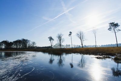 Reflection of trees in lake against sky