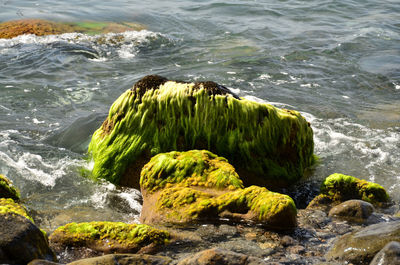 High angle view of sea by mountain