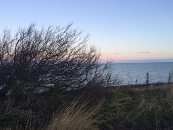 Scenic view of calm sea against sky