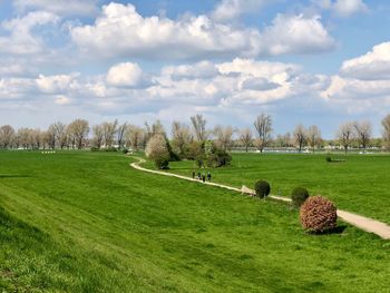 Scenic view of grassy field against sky