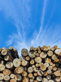 Stack of logs in forest