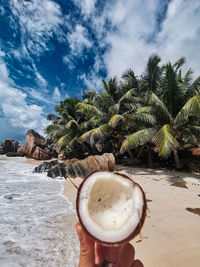 Hand holding coconut palm tree on beach against sky