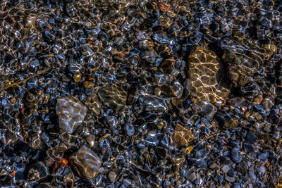 Full frame shot of pebbles in river