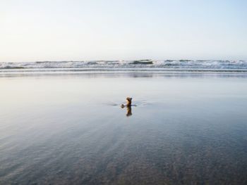 Full length of shirtless boy on sea against clear sky