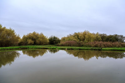 Scenic view of lake by trees against sky