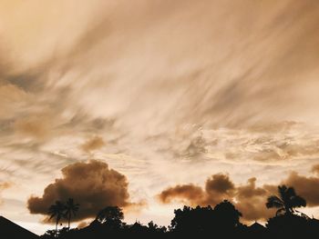 Low angle view of silhouette trees against sky during sunset