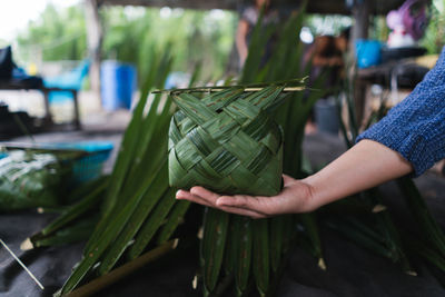 Cropped image of person holding green leaves