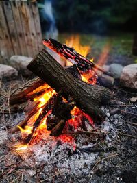 Close-up of fire on log at night