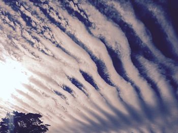 Extreme close up of animal flying against sky