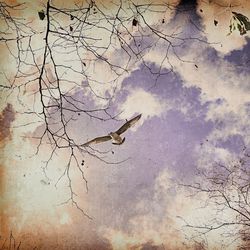 Low angle view of bare tree against sky