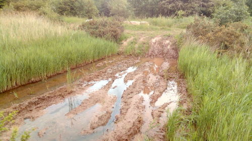 View of stream in field