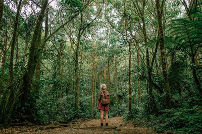 Full length of woman standing amidst trees in forest